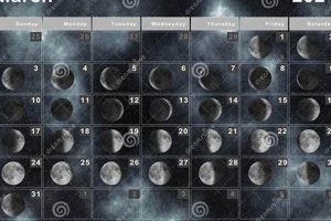 Pisces New Moon March 2024: Astrology Insights Astrology Inaction: Discover the Hidden Power of the Stars Pisces New Moon March 2024: Astrology Insights | Astrology Inaction: Discover the Hidden Power of the Stars