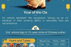 1937 Chinese Zodiac: Year of the Fire Ox Astrology Inaction: Discover the Hidden Power of the Stars 1937 Chinese Zodiac: Year of the Fire Ox | Astrology Inaction: Discover the Hidden Power of the Stars
