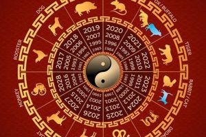 Discover Vietnamese Astrology Insights | Astrology Inaction: Discover the Hidden Power of the Stars