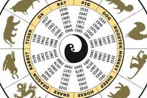 2009 Chinese Zodiac: Earth Ox Year - Complete Guide Safem Fabrication - Precision Engineering & Custom Manufacturing Solutions 2009 Chinese Zodiac: Earth Ox Year - Complete Guide | Safem Fabrication - Precision Engineering & Custom Manufacturing Solutions