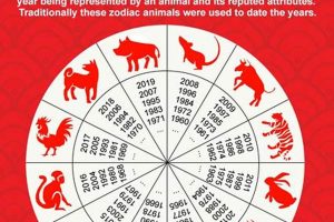 1983 Chinese Zodiac: Water Pig Year & Horoscope | Astrology Inaction: Discover the Hidden Power of the Stars