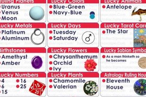 Unveiling February 11 Astrology: Traits & Insights Astrology Inaction: Discover the Hidden Power of the Stars Unveiling February 11 Astrology: Traits & Insights | Astrology Inaction: Discover the Hidden Power of the Stars