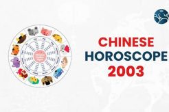 Chinese Astrology 2003 Astrology Inaction: Discover the Hidden Power of the Stars Chinese Astrology 2003 | Astrology Inaction: Discover the Hidden Power of the Stars