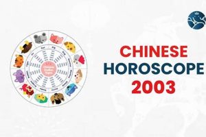 Chinese Astrology 2003 Astrology Inaction: Discover the Hidden Power of the Stars Chinese Astrology 2003 | Astrology Inaction: Discover the Hidden Power of the Stars