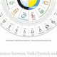 Learn Sidereal Vedic Astrology: A Guide | Astrology Inaction: Discover the Hidden Power of the Stars