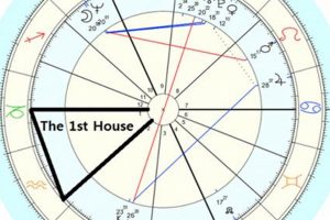 Mastering House Rulers in Astrology Astrology Inaction: Discover the Hidden Power of the Stars Mastering House Rulers in Astrology | Astrology Inaction: Discover the Hidden Power of the Stars