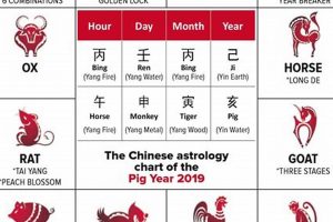 Your Chinese Astrology 2019 Guide & Forecast | Astrology Inaction: Discover the Hidden Power of the Stars