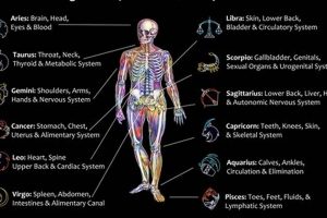Decode Your Astro Body Chart: A Guide | Astrology Inaction: Discover the Hidden Power of the Stars