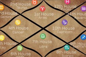 Vedic Astrology Houses: Guide & Insights Astrology Inaction: Discover the Hidden Power of the Stars Vedic Astrology Houses: Guide & Insights | Astrology Inaction: Discover the Hidden Power of the Stars