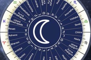 Explore Vedic Astrology: Astro Seek Insights Astrology Inaction: Discover the Hidden Power of the Stars Explore Vedic Astrology: Astro Seek Insights | Astrology Inaction: Discover the Hidden Power of the Stars