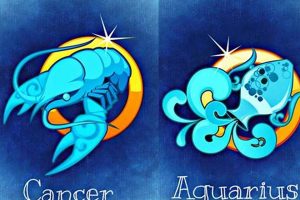 Decoding Astrology: Cancer & Aquarius Compatibility | Astrology Inaction: Discover the Hidden Power of the Stars