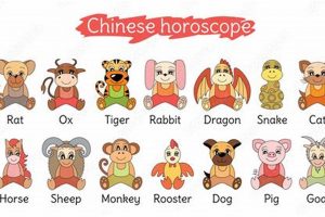 The Chinese Zodiac Cat: Traits & Compatibility | Astrology Inaction: Discover the Hidden Power of the Stars