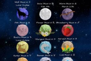 Full Moon Astrology: Insights & Rituals | Astrology Inaction: Discover the Hidden Power of the Stars