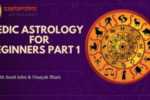 Vedic Astrology for Beginners: A Guide Astrology Inaction: Discover the Hidden Power of the Stars Vedic Astrology for Beginners: A Guide | Astrology Inaction: Discover the Hidden Power of the Stars
