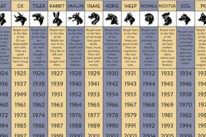 Free Chinese Astrology Chart Calculator & Reading | Astrology Inaction: Discover the Hidden Power of the Stars