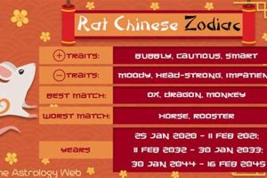 Chinese Astrology Rat Personality | Astrology Inaction: Discover the Hidden Power of the Stars