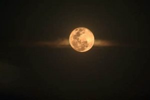 December Cold Moon Astrology: Meaning & Rituals | Astrology Inaction: Discover the Hidden Power of the Stars