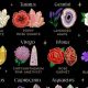 Zodiac Flowers: Meanings & Astrological Signs | Astrology Inaction: Discover the Hidden Power of the Stars