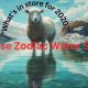 1943 Chinese Zodiac: Year of the Water Goat | Astrology Inaction: Discover the Hidden Power of the Stars