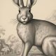 1951 Chinese Astrology: Year of the Metal Rabbit | Astrology Inaction: Discover the Hidden Power of the Stars