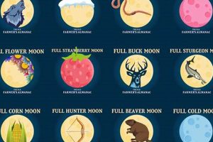 November's Full Moon: An Astrological Guide | Astrology Inaction: Discover the Hidden Power of the Stars