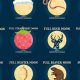 November's Full Moon: An Astrological Guide | Astrology Inaction: Discover the Hidden Power of the Stars