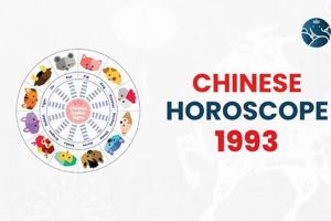 1993 Chinese Astrology: Year of the Water Rooster Astrology Inaction: Discover the Hidden Power of the Stars 1993 Chinese Astrology: Year of the Water Rooster | Astrology Inaction: Discover the Hidden Power of the Stars