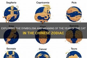 Mystical Cat Chinese Astrology & Zodiac Secrets Astrology Inaction: Discover the Hidden Power of the Stars Mystical Cat Chinese Astrology & Zodiac Secrets | Astrology Inaction: Discover the Hidden Power of the Stars