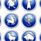 Understanding the Cancer-Leo Cusp | Astrology Inaction: Discover the Hidden Power of the Stars