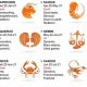 January 28 Astrology: Daily Horoscope & Insights | Astrology Inaction: Discover the Hidden Power of the Stars
