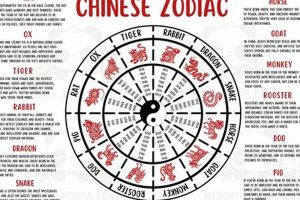 Chinese Astrology 1950 Astrology Inaction: Discover the Hidden Power of the Stars Chinese Astrology 1950 | Astrology Inaction: Discover the Hidden Power of the Stars