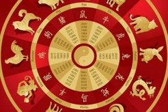 2006 Chinese Zodiac: Year of the Fire Dog Astrology Inaction: Discover the Hidden Power of the Stars 2006 Chinese Zodiac: Year of the Fire Dog | Astrology Inaction: Discover the Hidden Power of the Stars