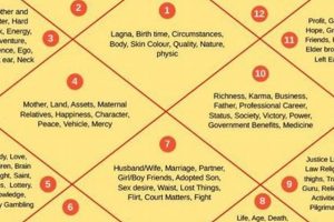 Get Your Best Vedic Astrology Chart Reading Now | Astrology Inaction: Discover the Hidden Power of the Stars