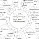 Ask the Stars: Horary Astrology Insights | Astrology Inaction: Discover the Hidden Power of the Stars
