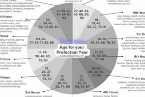 Your Age 35 House Year: An Astrological Guide Astrology Inaction: Discover the Hidden Power of the Stars Your Age 35 House Year: An Astrological Guide | Astrology Inaction: Discover the Hidden Power of the Stars