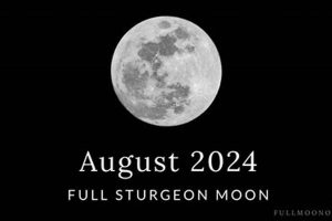 The August 2024 Full Moon: An Astrological Guide Safem Fabrication - Precision Engineering & Custom Manufacturing Solutions The August 2024 Full Moon: An Astrological Guide | Safem Fabrication - Precision Engineering & Custom Manufacturing Solutions