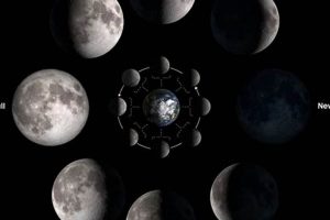Your Guide to New Moons 2024 Astrology Insights | Astrology Inaction: Discover the Hidden Power of the Stars