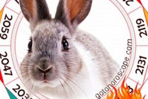 Unraveling the Fire Rabbit: Chinese Astrology Insights Astrology Inaction: Discover the Hidden Power of the Stars Unraveling the Fire Rabbit: Chinese Astrology Insights | Astrology Inaction: Discover the Hidden Power of the Stars