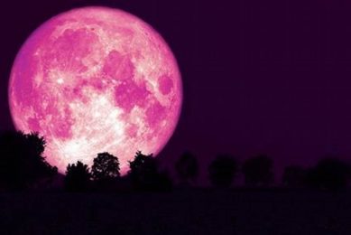 Pink Moon in Astrology: Meaning & Significance Astrology Inaction: Discover the Hidden Power of the Stars Pink Moon in Astrology: Meaning & Significance | Astrology Inaction: Discover the Hidden Power of the Stars