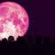 Pink Moon in Astrology: Meaning &amp; Significance | Astrology Inaction: Discover the Hidden Power of the Stars