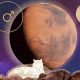 Understanding Mars in Leo Astrology: A Guide | Astrology Inaction: Discover the Hidden Power of the Stars