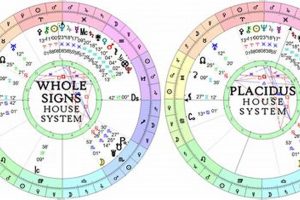 Understanding the Placidus House System in Astrology | Astrology Inaction: Discover the Hidden Power of the Stars
