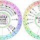 Understanding the Placidus House System in Astrology | Astrology Inaction: Discover the Hidden Power of the Stars