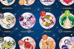 Gemini Chinese Astrology: Traits & Compatibility | Astrology Inaction: Discover the Hidden Power of the Stars