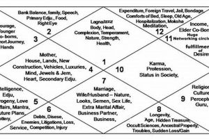 Find Your Vedic Astrology Houses: A Guide | Astrology Inaction: Discover the Hidden Power of the Stars