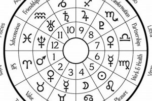 Decoding Planets in Houses: Astro Guide | Astrology Inaction: Discover the Hidden Power of the Stars