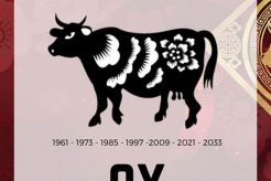 Understanding the Ox: Chinese Zodiac Personality | Astrology Inaction: Discover the Hidden Power of the Stars