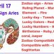 Unveiling April 17th Astrology: Traits & Insights | Astrology Inaction: Discover the Hidden Power of the Stars