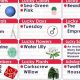 Daily Horoscope: March 3rd Zodiac & Astrology Insights | Astrology Inaction: Discover the Hidden Power of the Stars