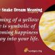 Decode Yellow Snake Dream Meaning in Hindu Astrology | Astrology Inaction: Discover the Hidden Power of the Stars
